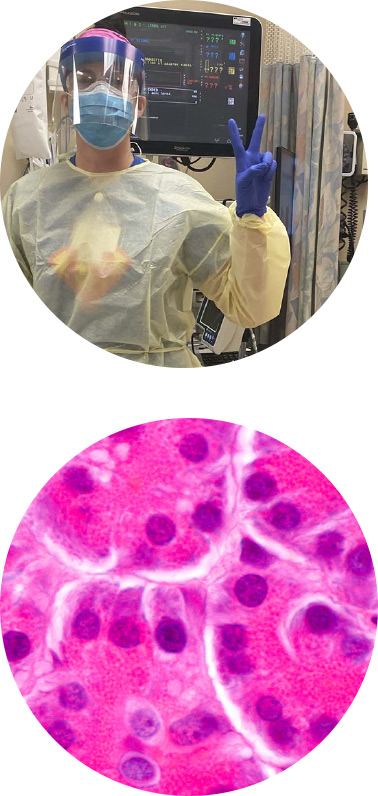 Nurse and Cell Image