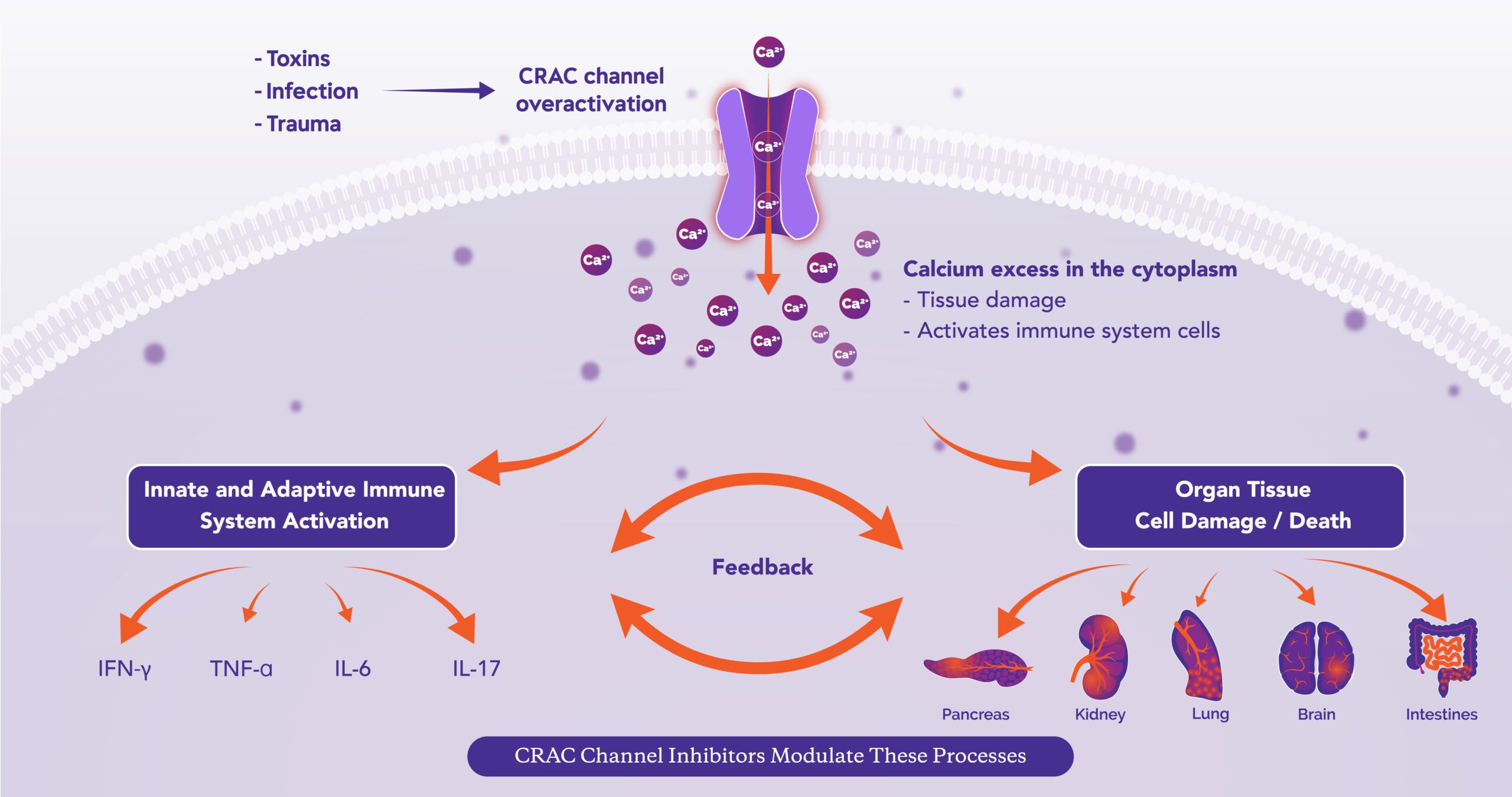 CRAC Channel Design